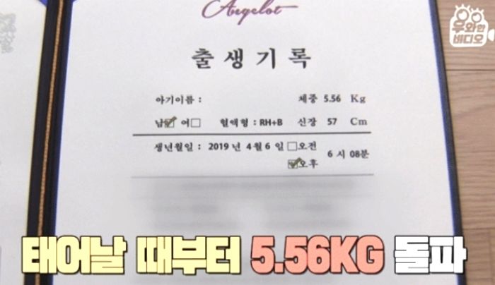 인사이트