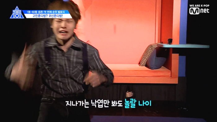 인사이트