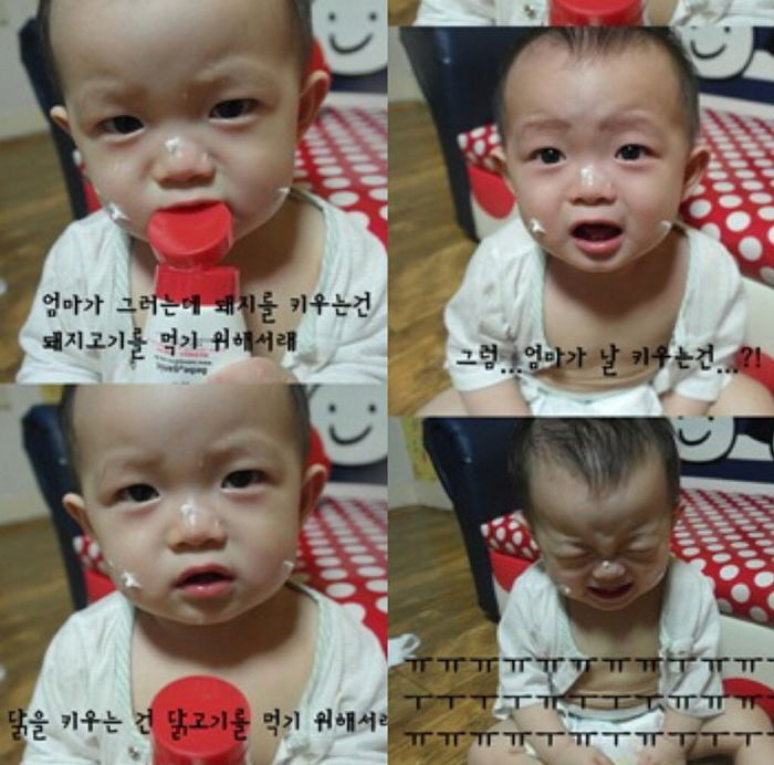 인사이트