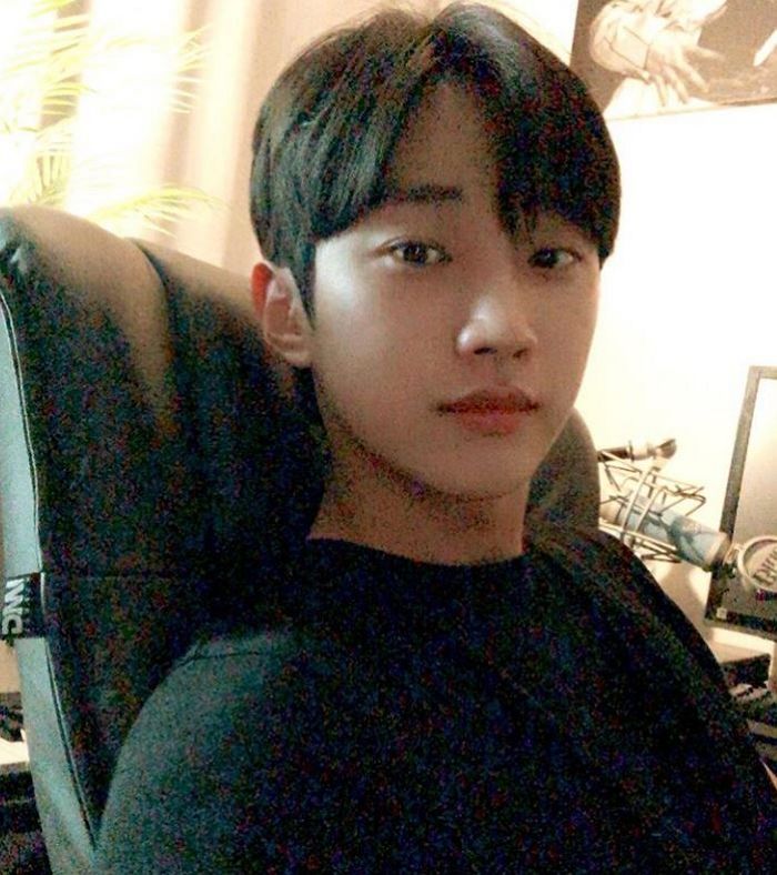 인사이트