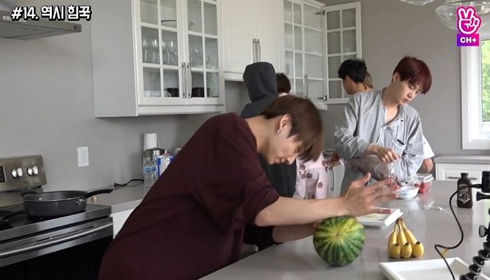 인사이트