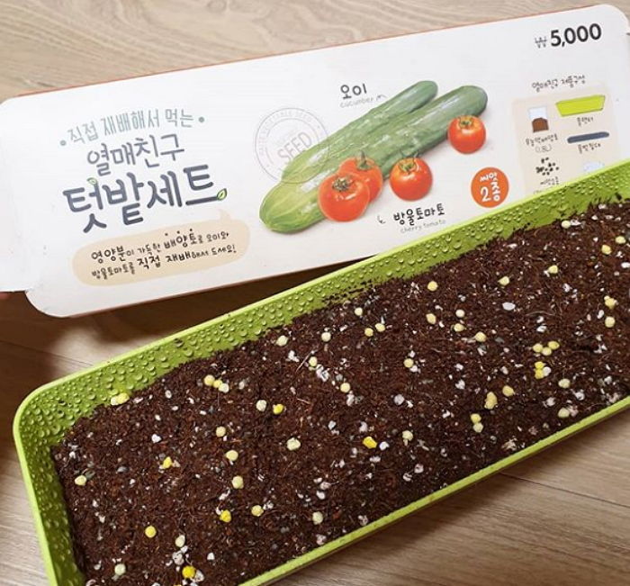 직접 오이 키우다 보면 ‘오이극혐러’도 정들어서 사랑하게 된다는 ‘텃밭세트’