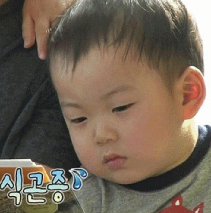 인사이트