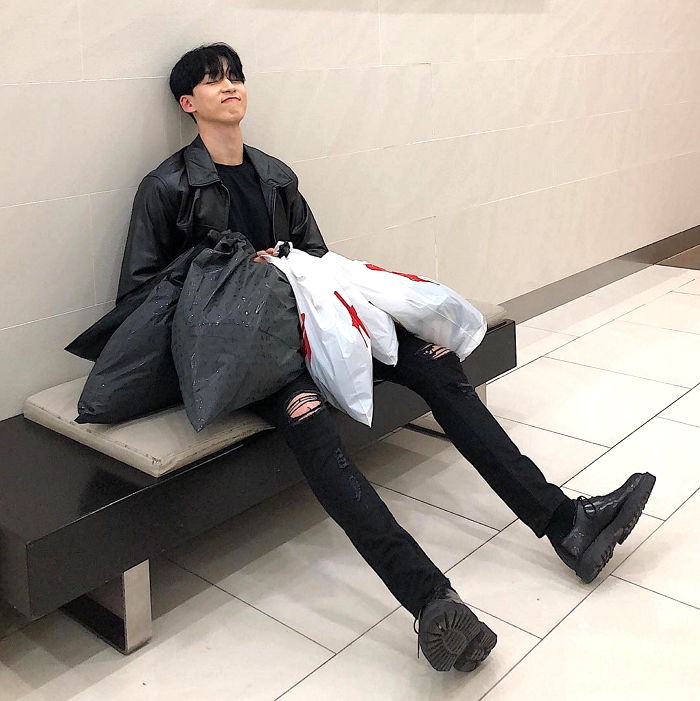 인사이트