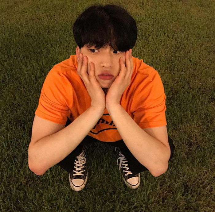 인사이트