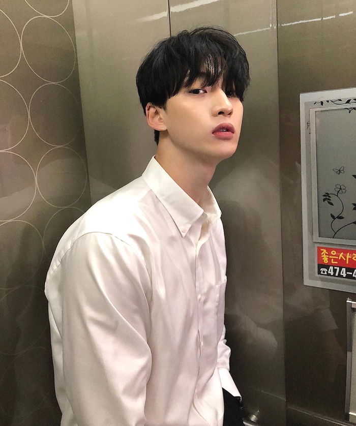 인사이트