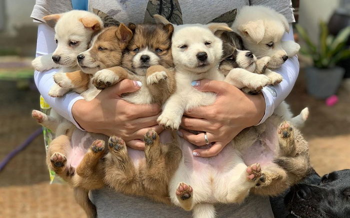 “곽두철·곽두식·곽두리의 가족이 되어줄 사람을 찾습니다”
