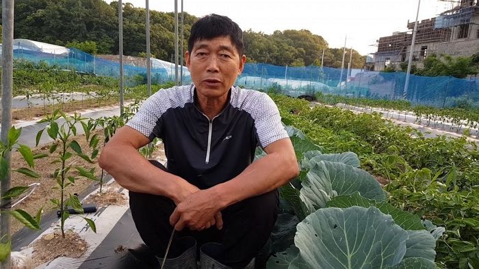 “독사에 물린 우리 백구, 큰일났슈~”···시골 브이로그로 대박난 ‘농부 할아버지’ 유튜버
