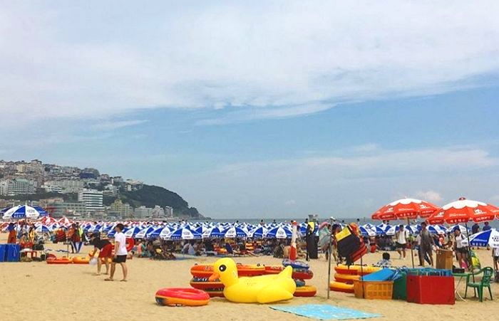 올여름 대한민국 ‘핫한 남녀’ 다 모이는 ‘대천해수욕장’ 개장했다