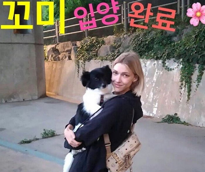 인사이트