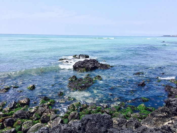 티몬서 7월 황금휴가 시즌에 떠날 수 있는 제주도 티켓 단돈 ‘4,900원’