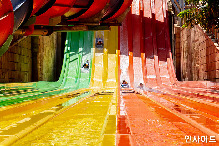 인사이트 / 사진=고대현 기자 daehyun@