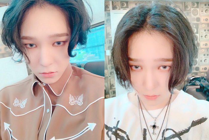 ‘양다리 논란’ 잠잠해지자마자 근황 전하며 새 앨범 컴백 예고한 남태현