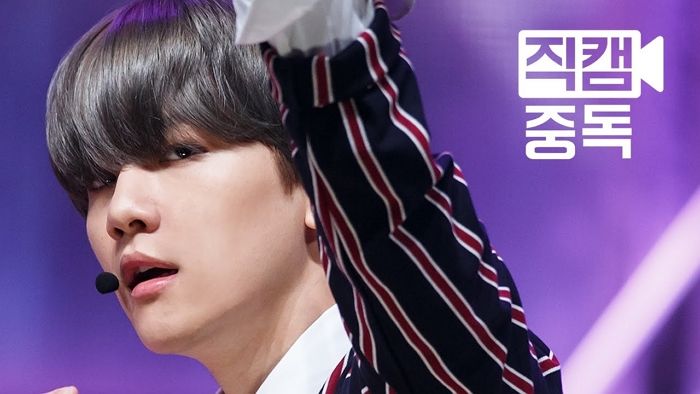 인사이트
