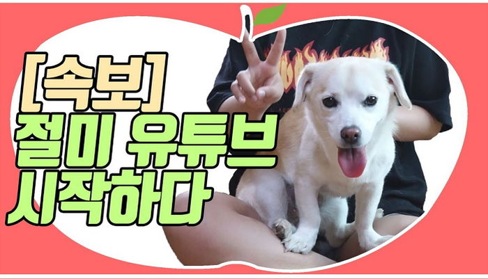 “사소한 이야기도 보여드려요♥” 드디어 유튜버로 데뷔한 ‘슈스견’ 짱절미