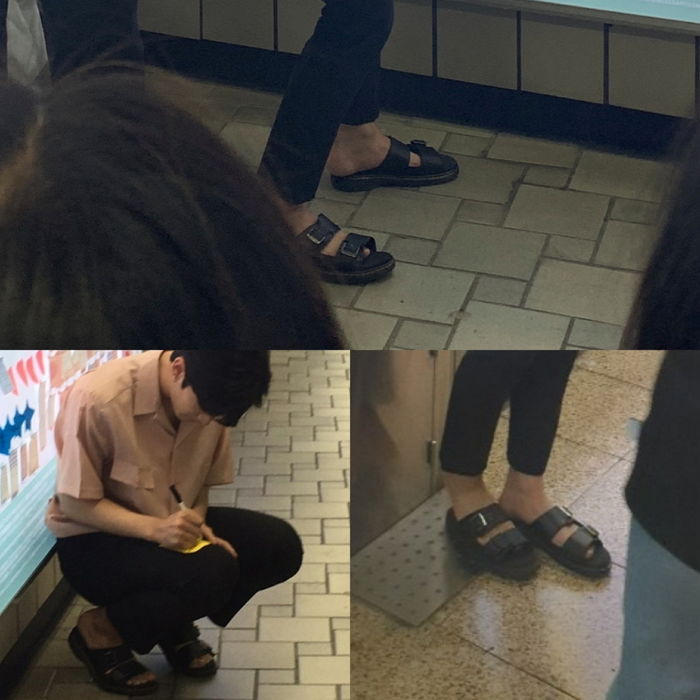 인사이트