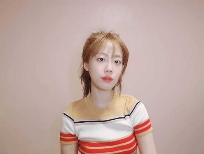 인사이트