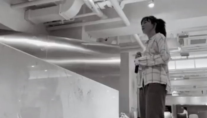 ‘자스민 공주’로 완벽 빙의한 레드벨벳 슬기의 ‘Speechless’ 커버