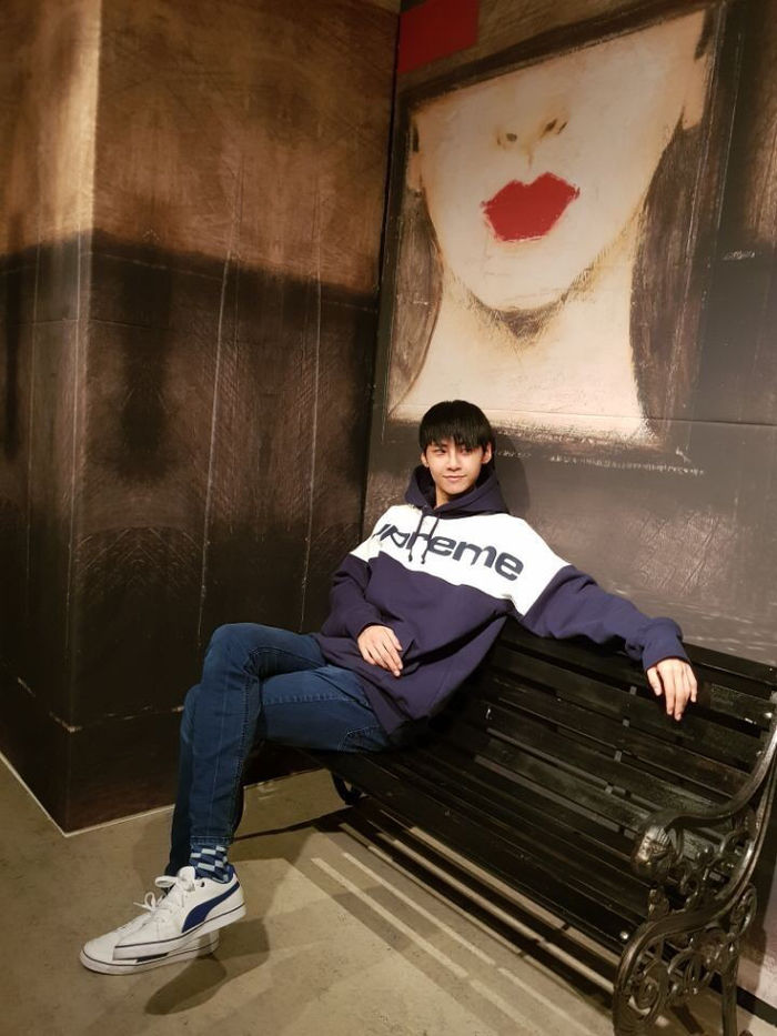 인사이트