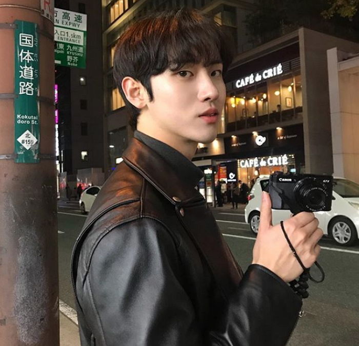 인사이트