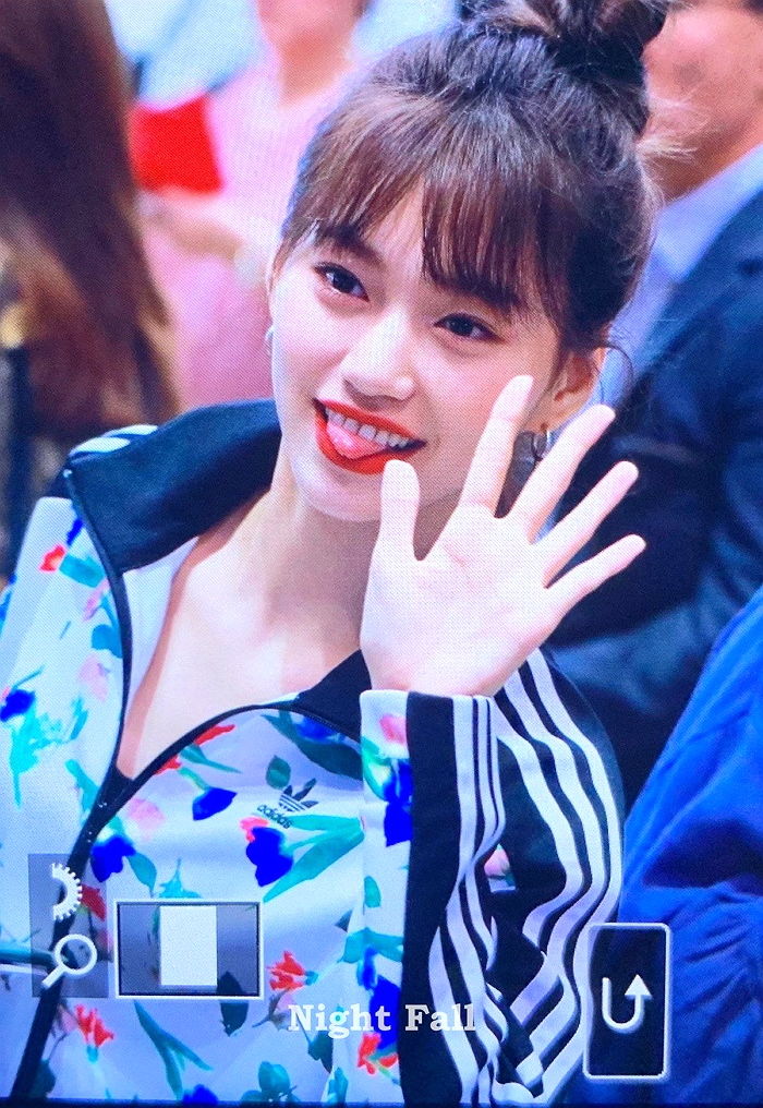 인사이트
