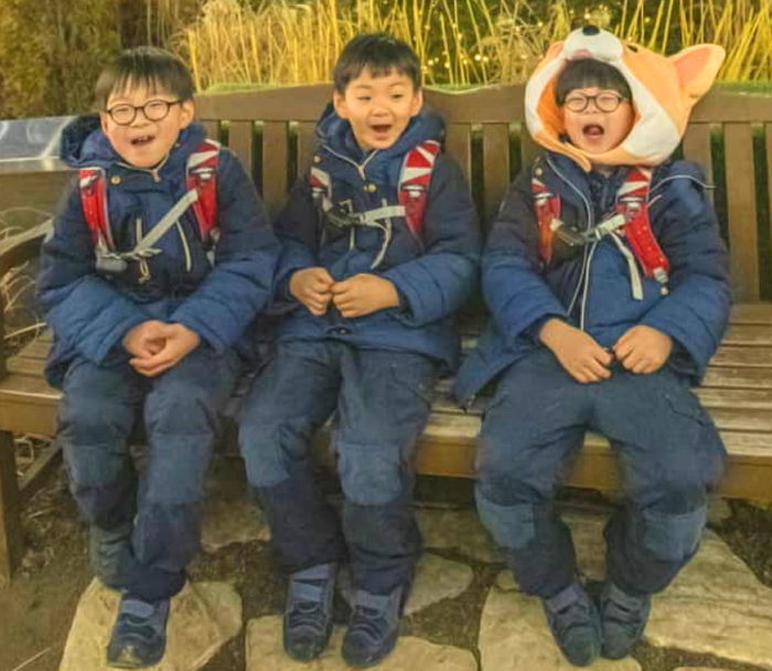 인사이트