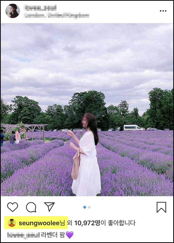 인사이트