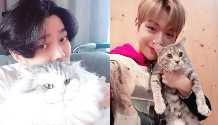 고양이 키우는 사람은 잘생겼다는 말 몸소 증명한 ‘프로 집사’ 연예인 5인