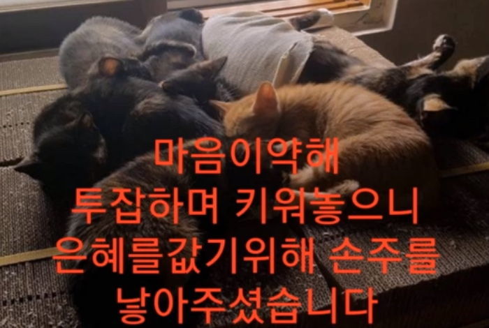 인사이트