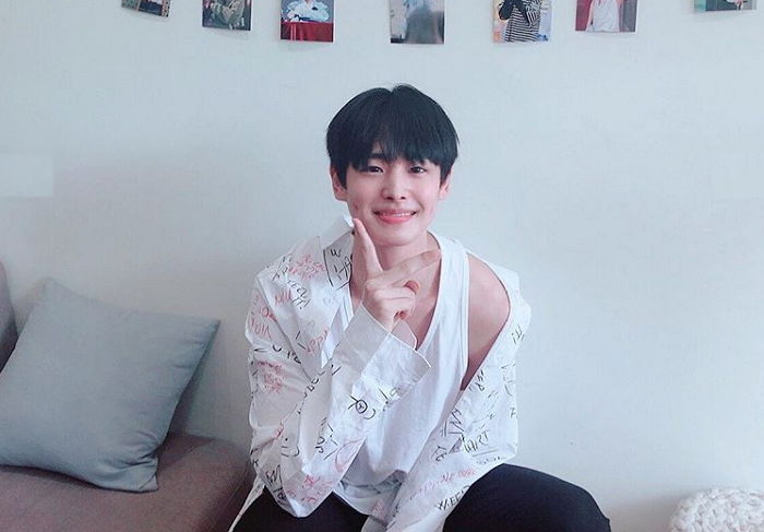인사이트