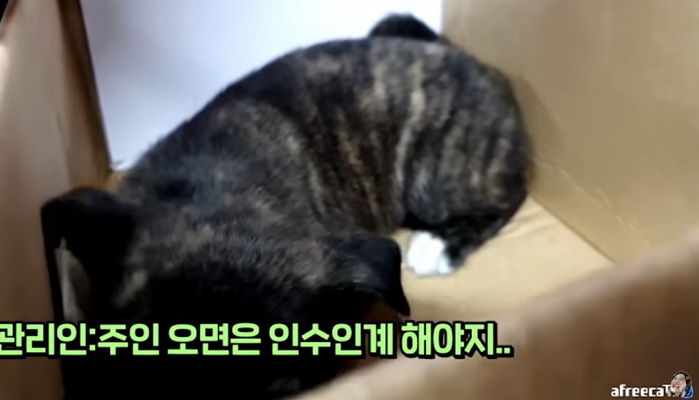 인사이트