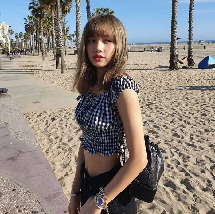 인사이트