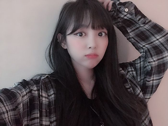 인사이트