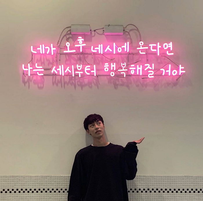 인사이트