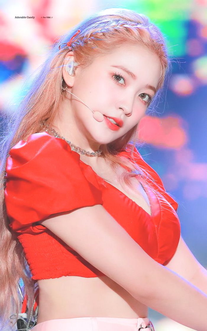 인사이트