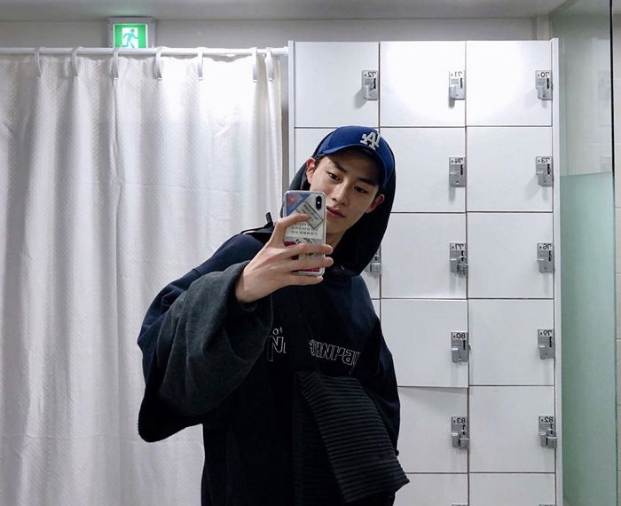 인사이트