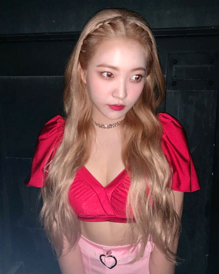 인사이트