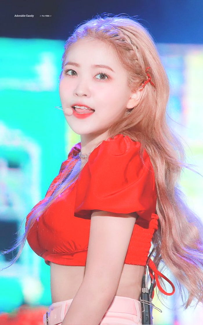 인사이트