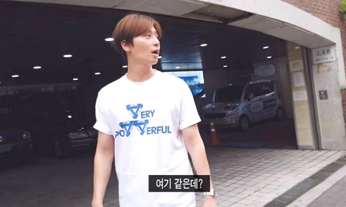 인사이트