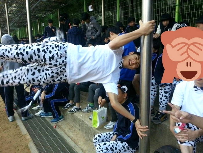 인사이트