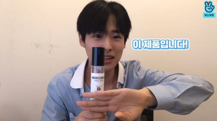 인사이트