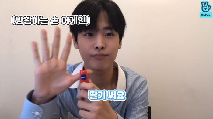 인사이트