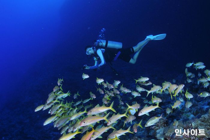 하나투어, 다이빙 여행 상품 추천