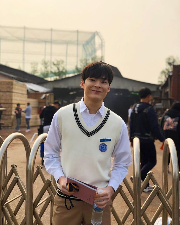 인사이트