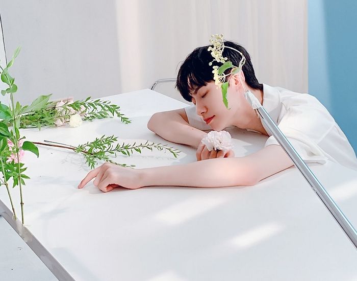인사이트