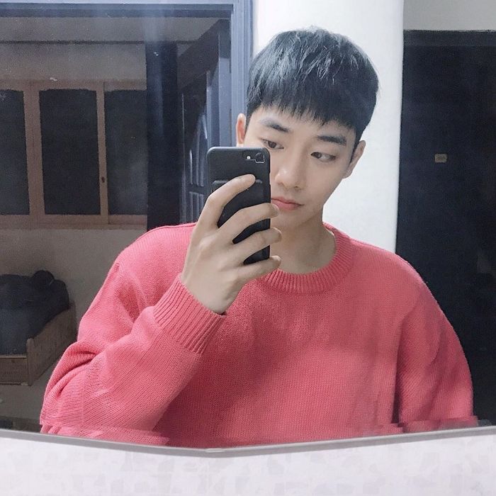 인사이트