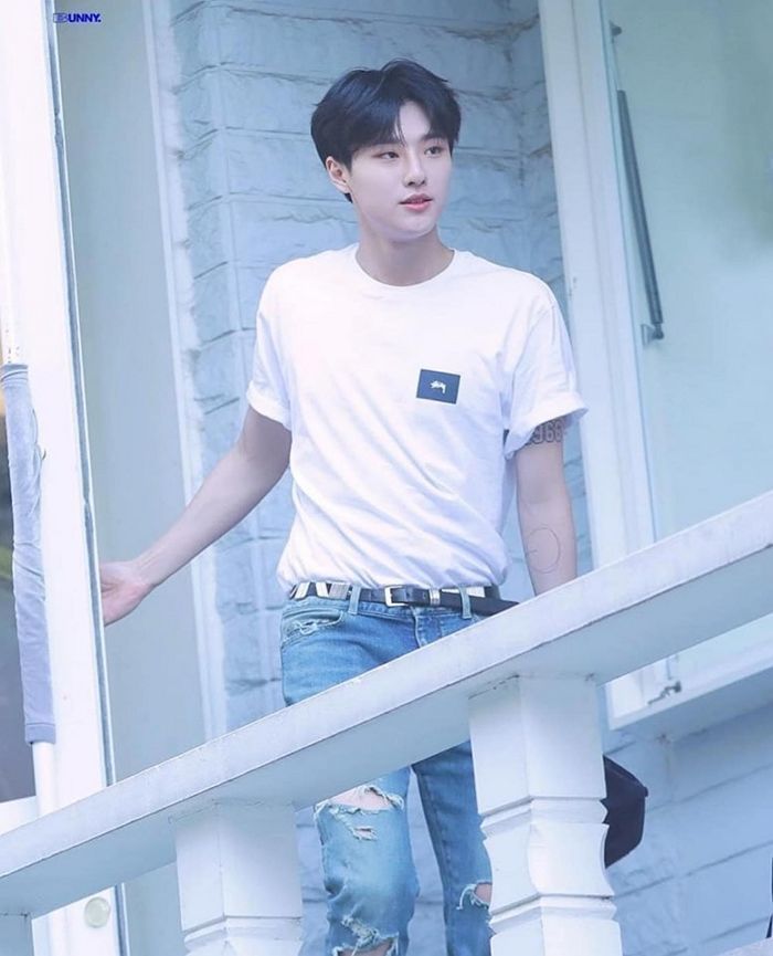 인사이트