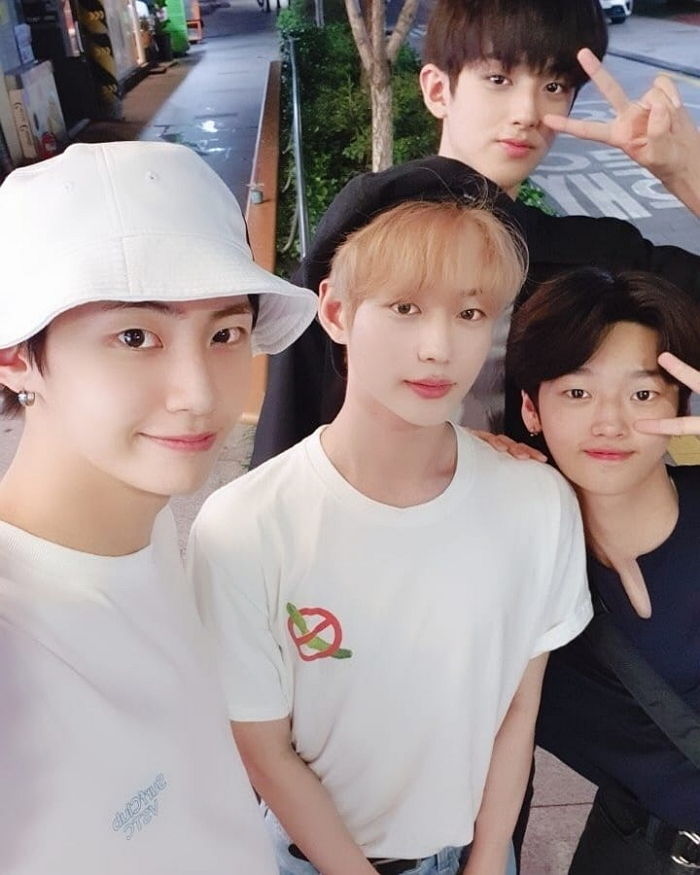 인사이트