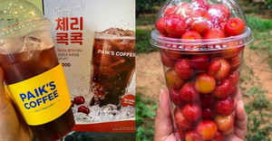체리다방 이미지