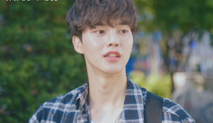 인사이트
